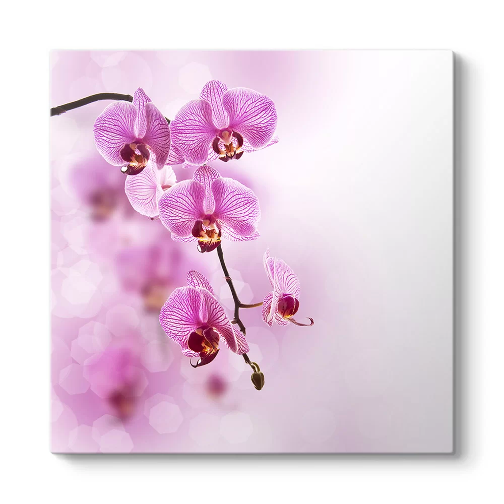 Pembe Orkide Tablosu - Model 3